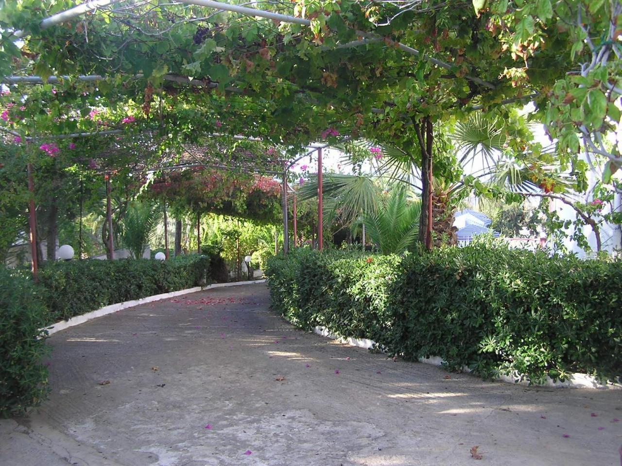Knossos Aparthotel Panormos  Exterior photo