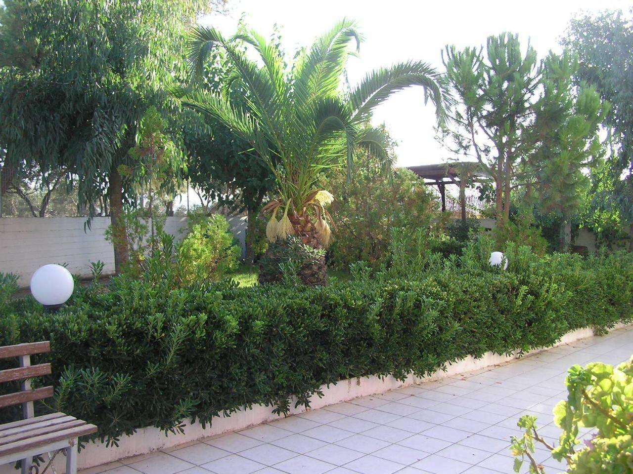 Knossos Aparthotel Panormos  Exterior photo